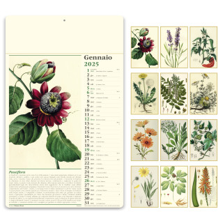 CALENDARIO ALMANACCO "ERBORISTERIA" 31x53,5 cm